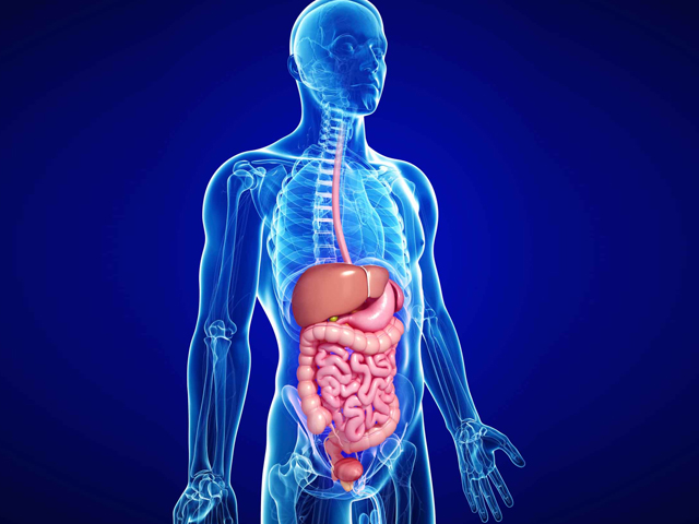 ΣΕΒΑΣΤΟΠΟΥΛΟΣ PHOTO.JPG